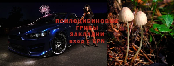 дмт Гусь-Хрустальный