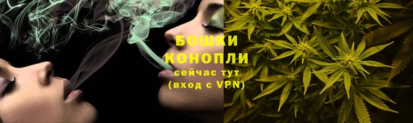 стафф Гусев