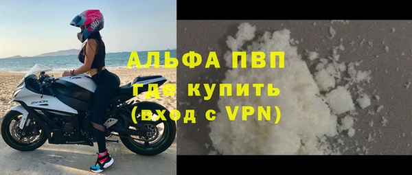 стафф Гусев