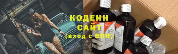 стафф Гусев