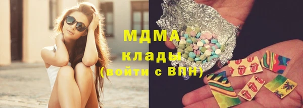 стафф Гусев
