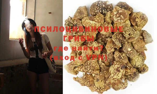 хмурый Гусиноозёрск