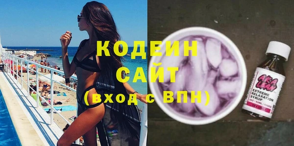 стафф Гусев