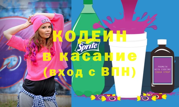 стафф Гусев