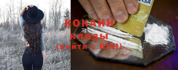 дмт Гусь-Хрустальный