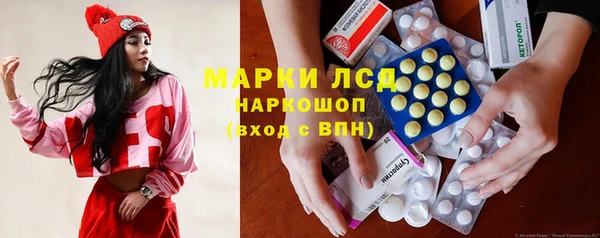стафф Гусев